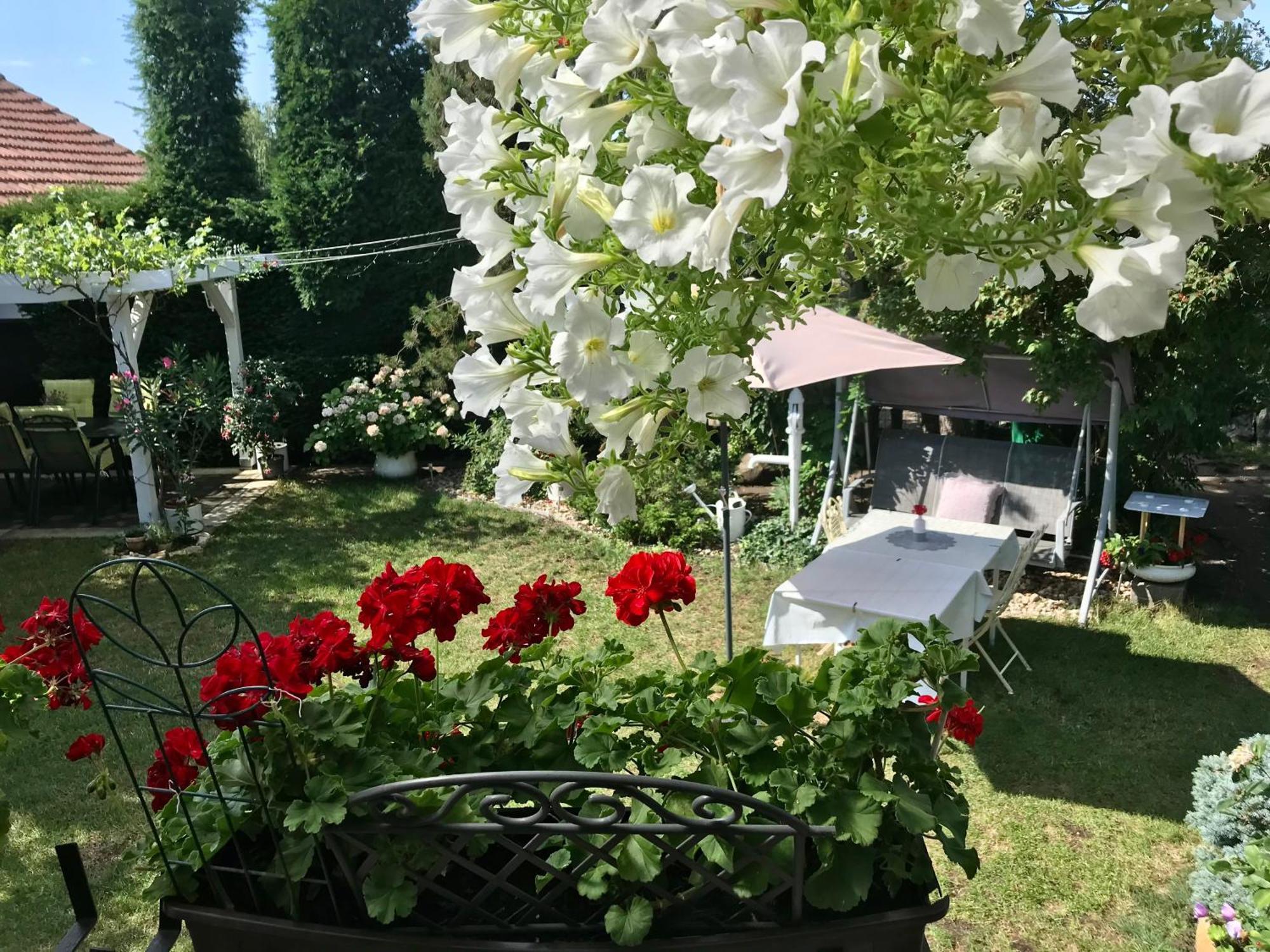 Relaxacni Studio Vera S Ubytovanim Валтис Екстериор снимка